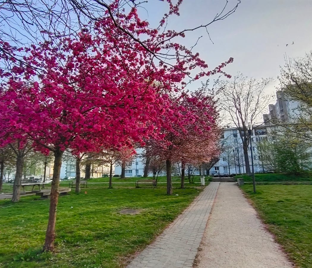 Parc Jean Mermoz 1