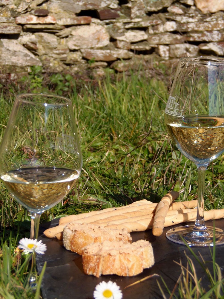 Balade découverte dans nos vignes et dégustation 1