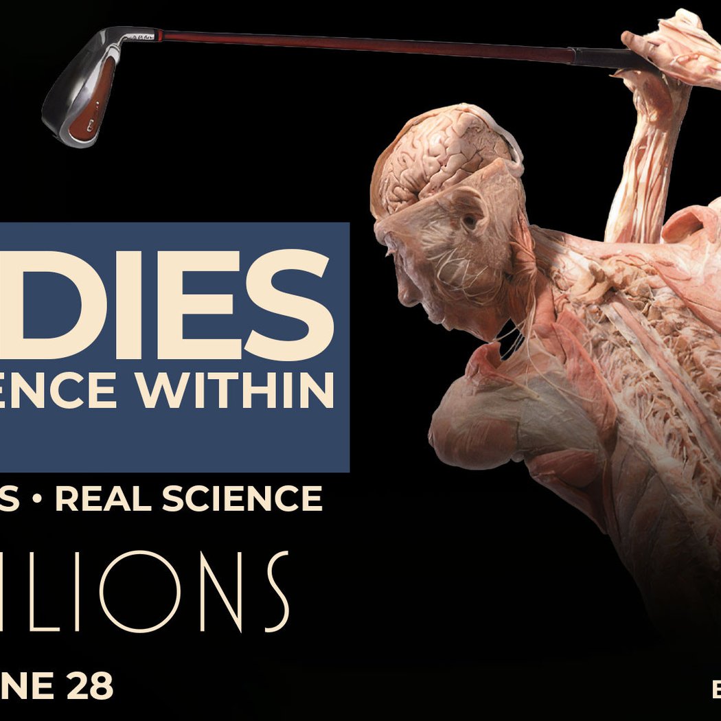 Bodies – The Science Within 1