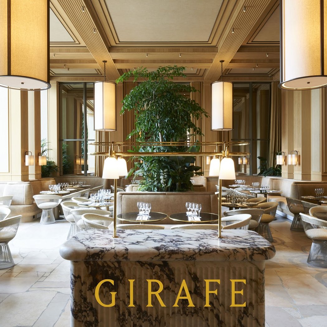 Girafe 3