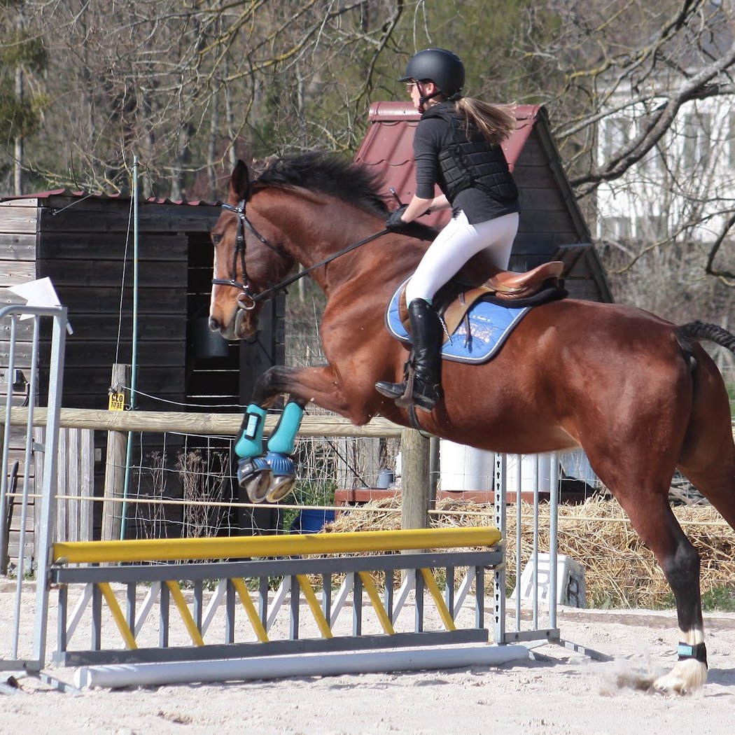 Pony Club Equestrian Center Rambouillet 1