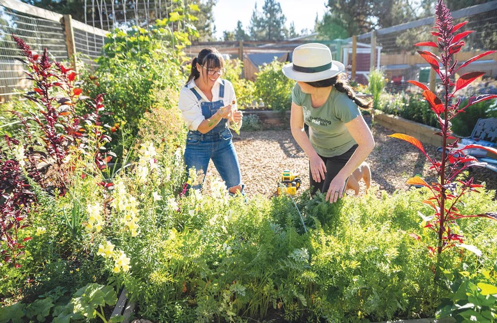 Community Garden Volunteer Session 1