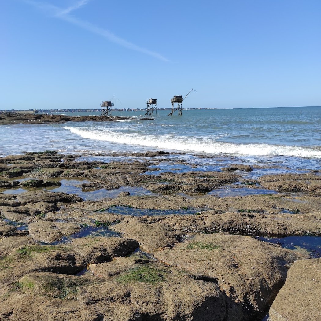 Contes de Bretagne et d'ailleurs au Bois Roy 3