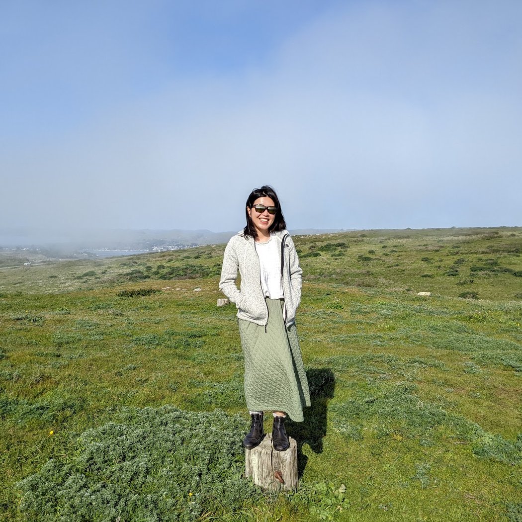Bodega Head Trail 3
