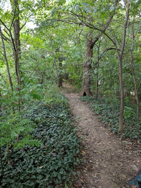 Marine Park Salt Marsh Nature Trail 3