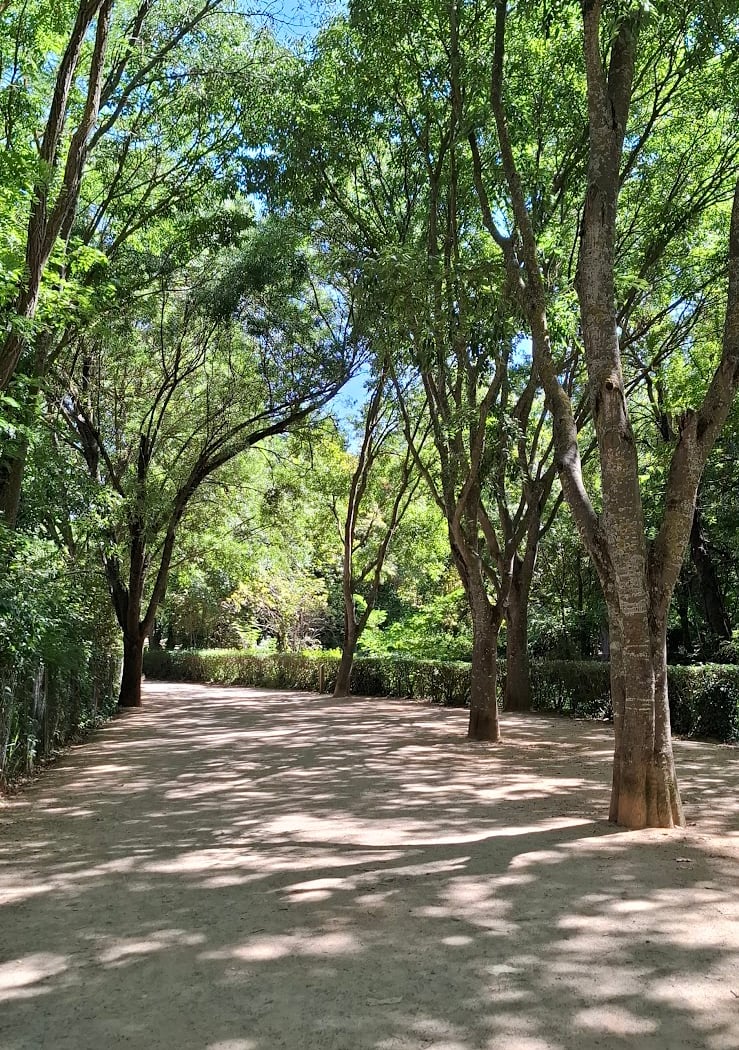 Parc de la Torse à Aix 2