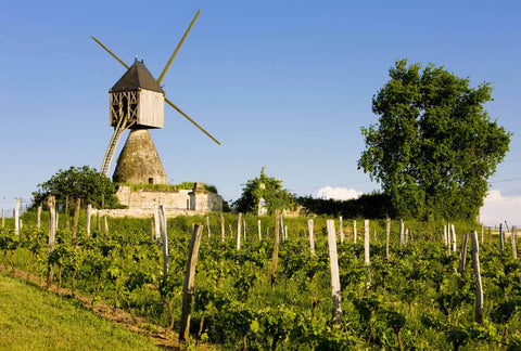 Loire Valley Walk-Around 1