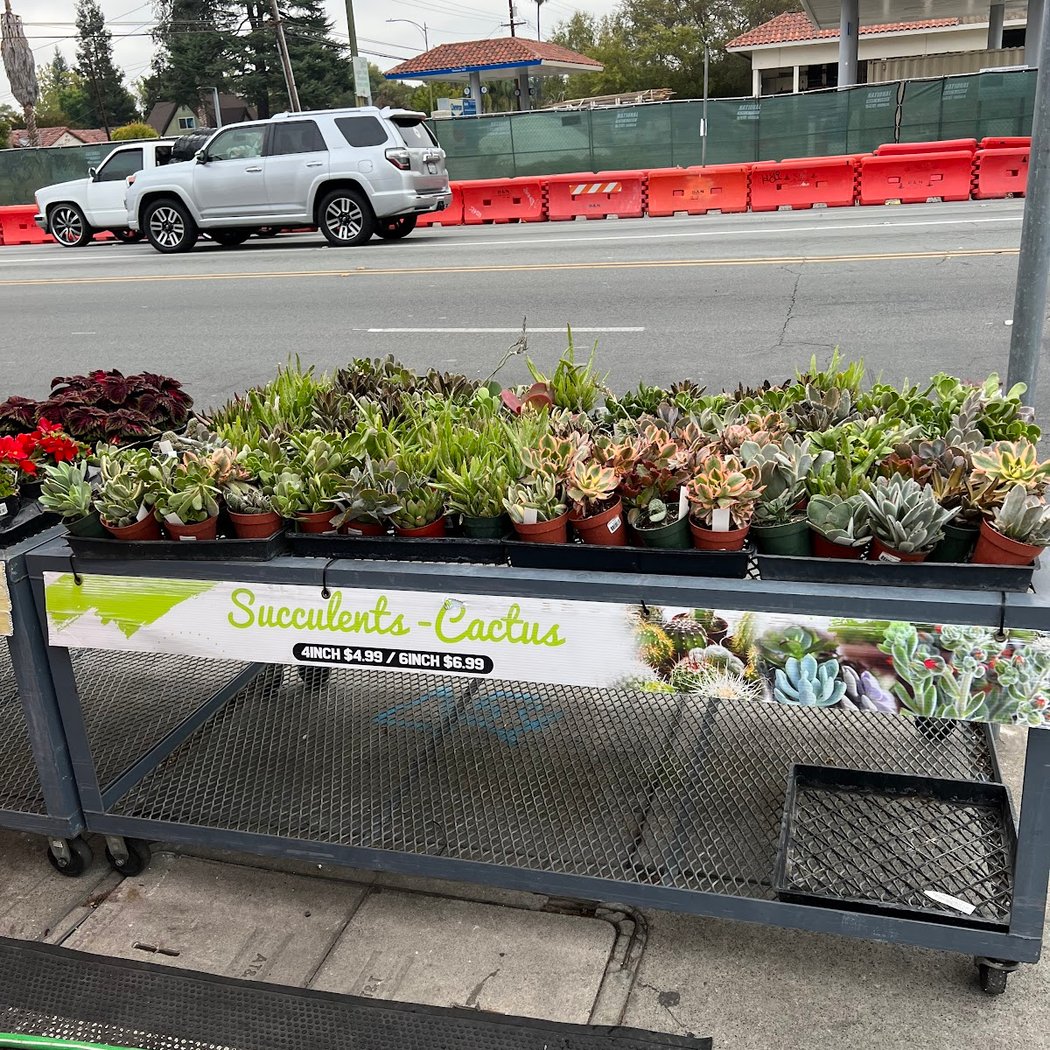 Willow Glen Ace Hardware 2
