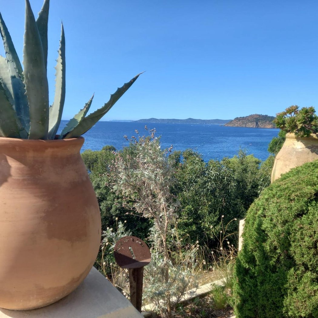 Domaine du Rayol, The Mediterranean Gardens 3