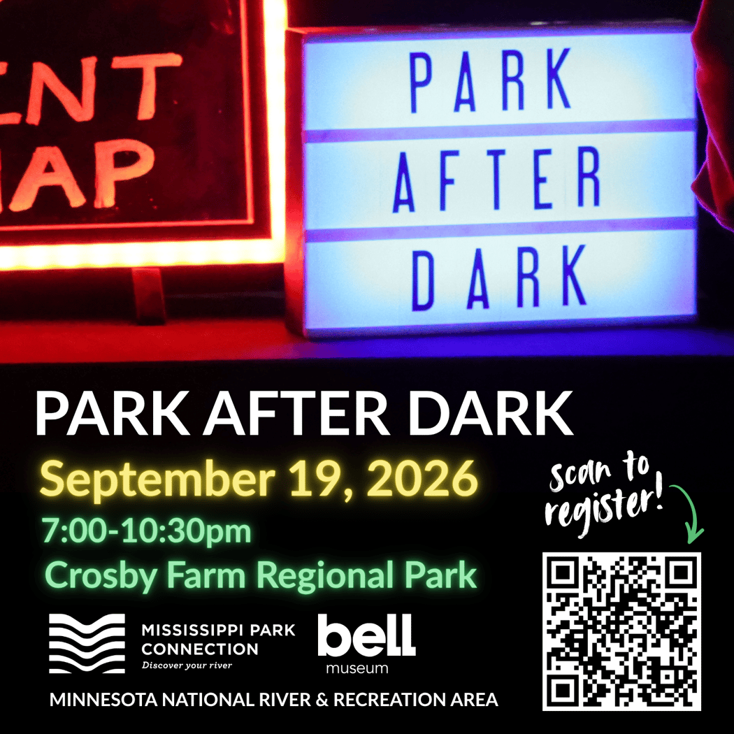 Park After Dark