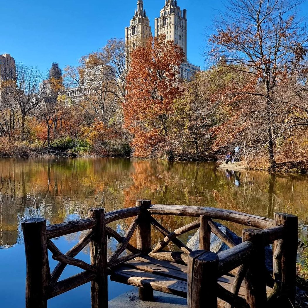 Central Park Benches Highlights Hike 1