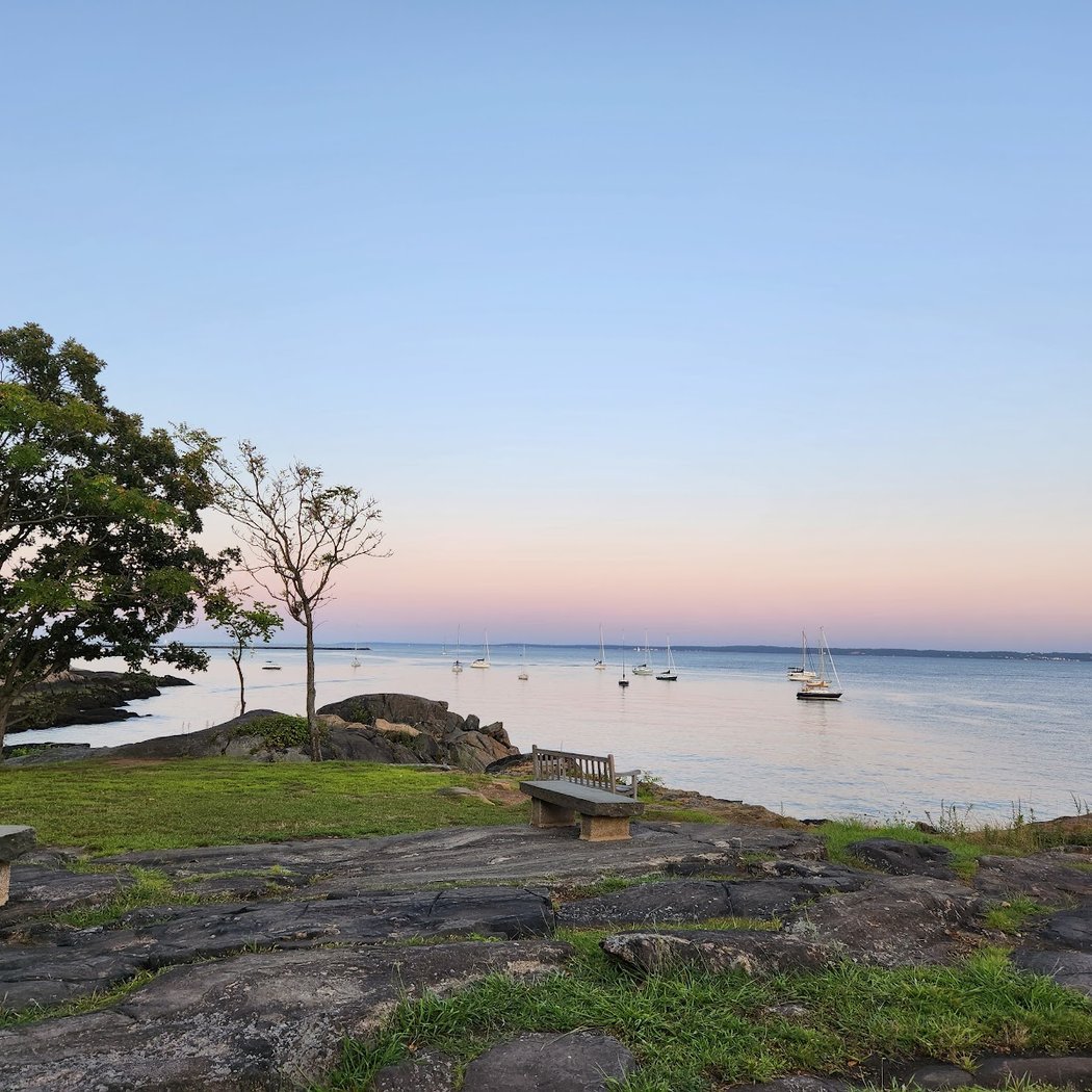 Larchmont Dog Beach 1