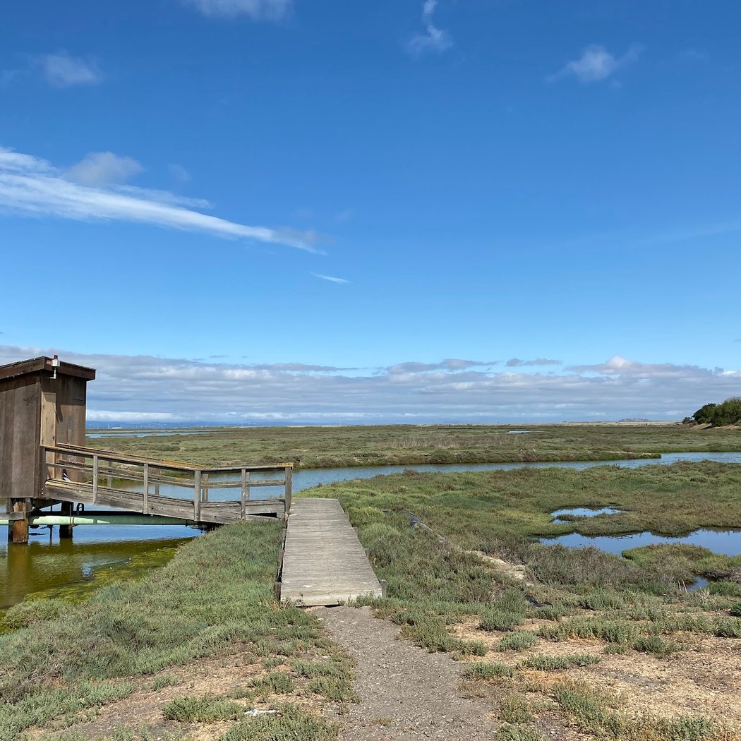 Junior Rangers at the Refuge: Slough Sleuths 1
