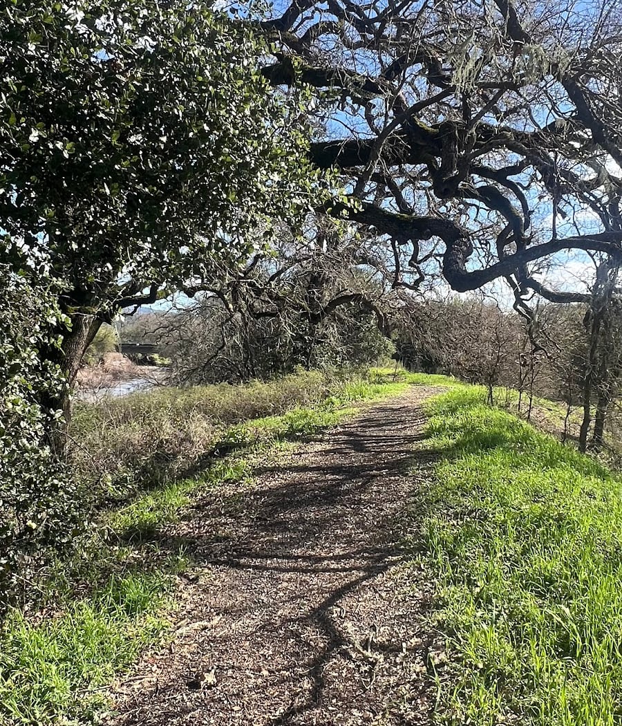 Napa River Ecological Reserve 2