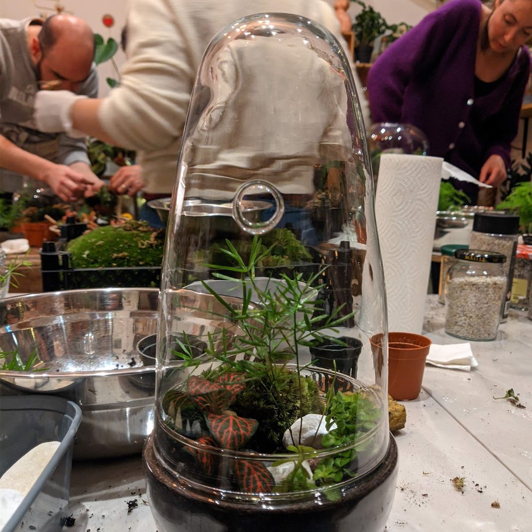Artemisia Plantes et Déco • Boutique & Ateliers & E-shop 1