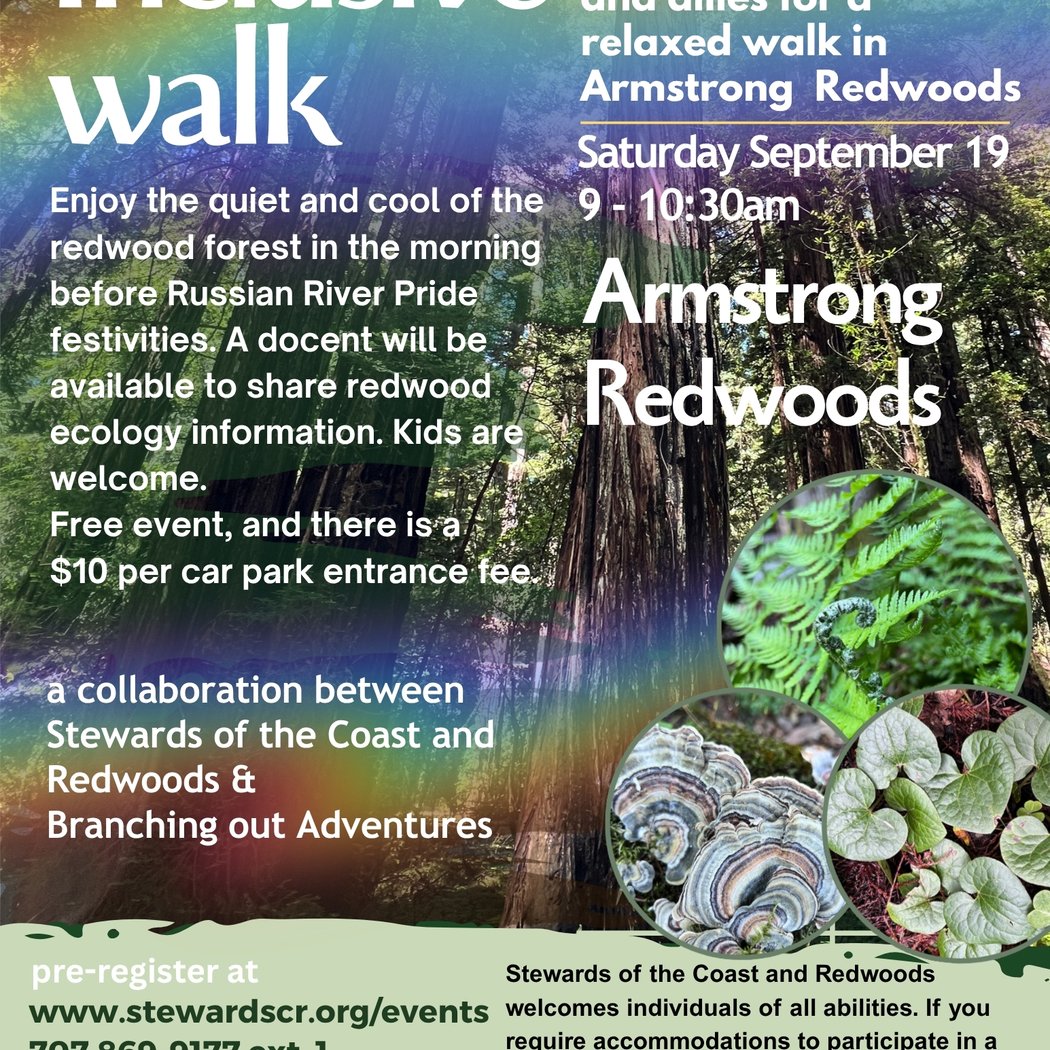 2026 Inclusive Morning Walk in Armstrong Redwoods