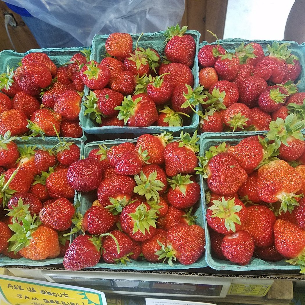 Berry Patch 1