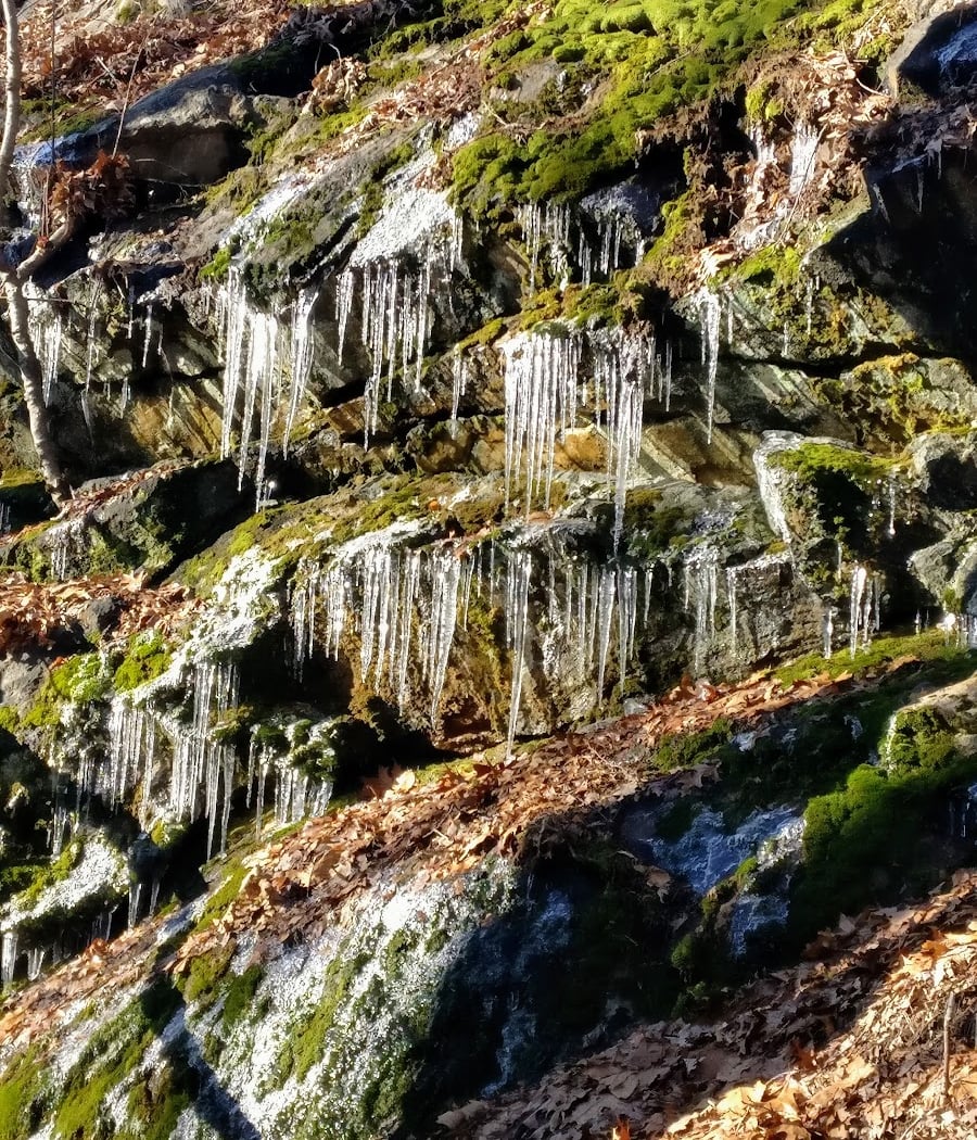 Larkin State Park Trail 3