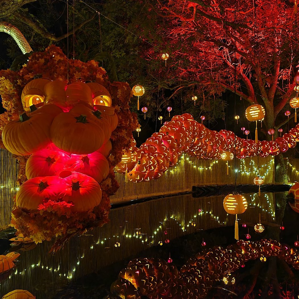 Pumpkin Nights Meet-Up 3