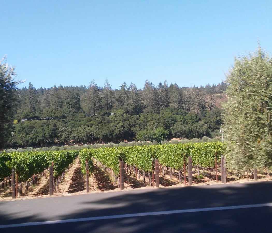 Vineyard Valley MHP 2