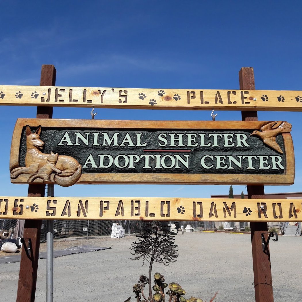 Jelly's Place 2
