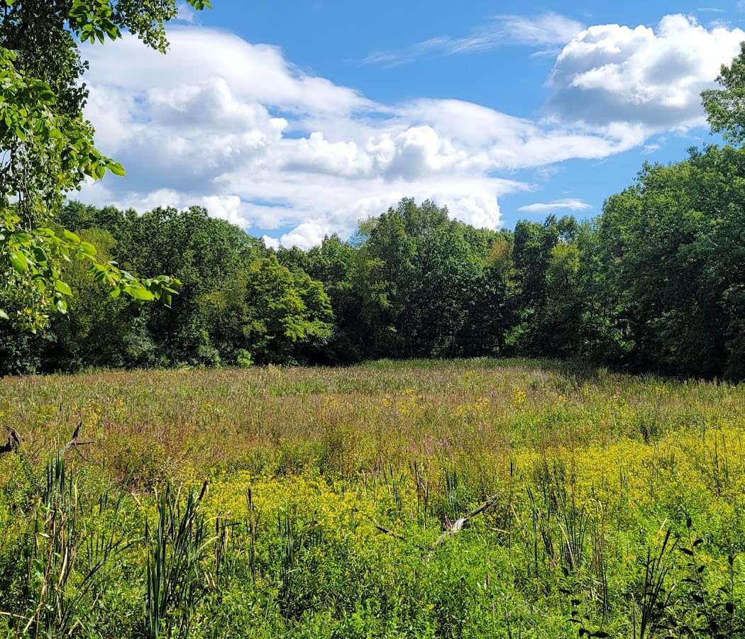 Waterloo State Recreation Area 3