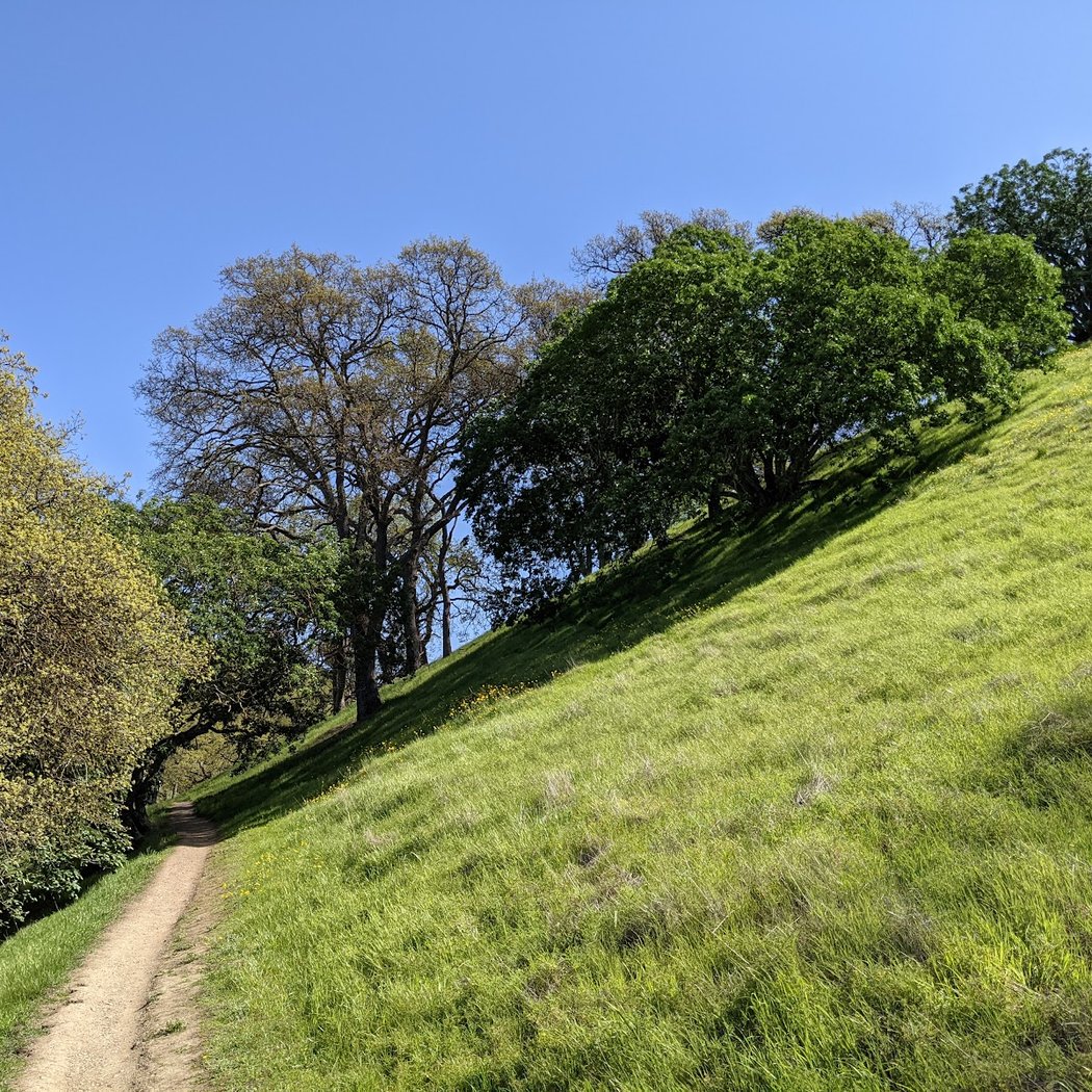 Holdener Park 1