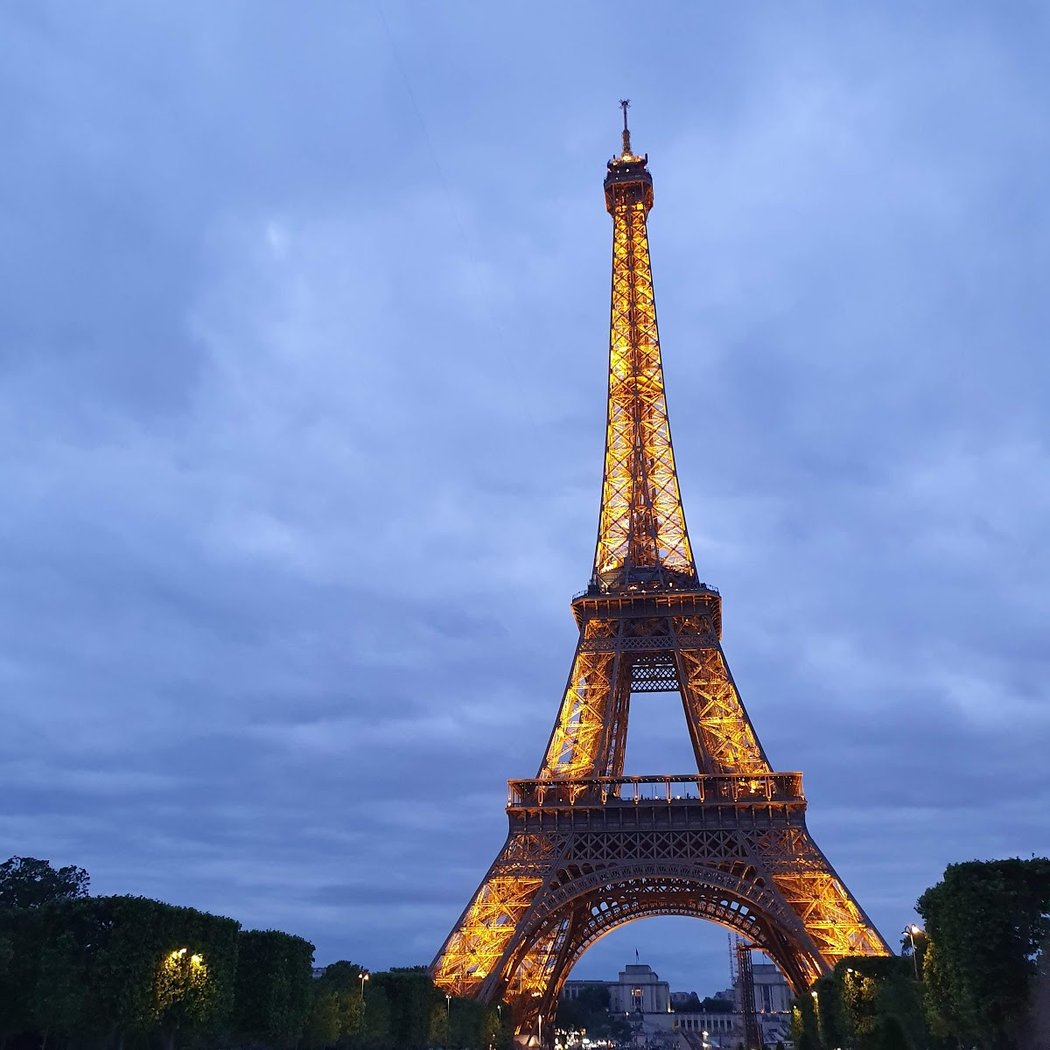 Eiffel Tower Views 1