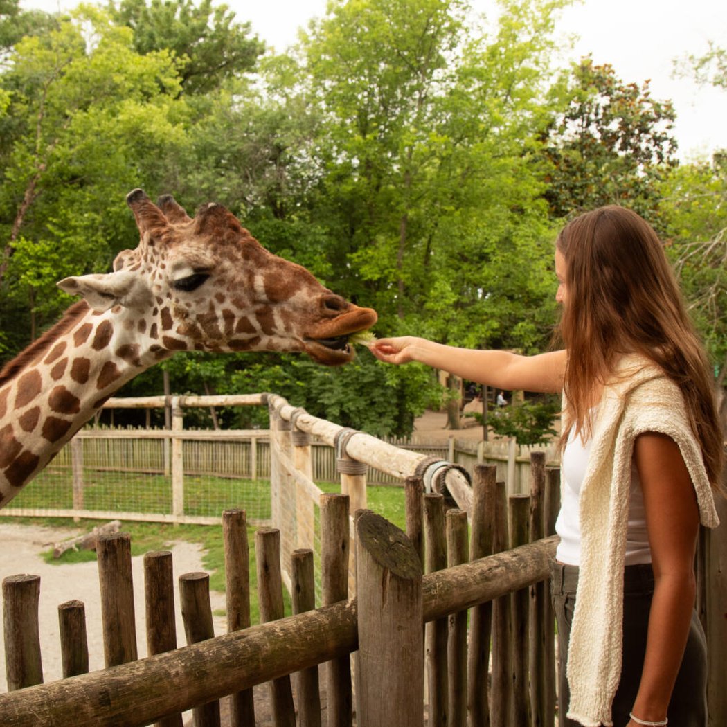 Chattanooga Zoo 1