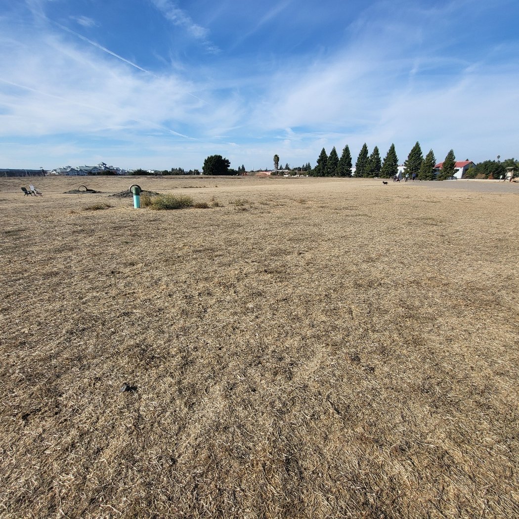 Rocky Memorial Dog Park 2