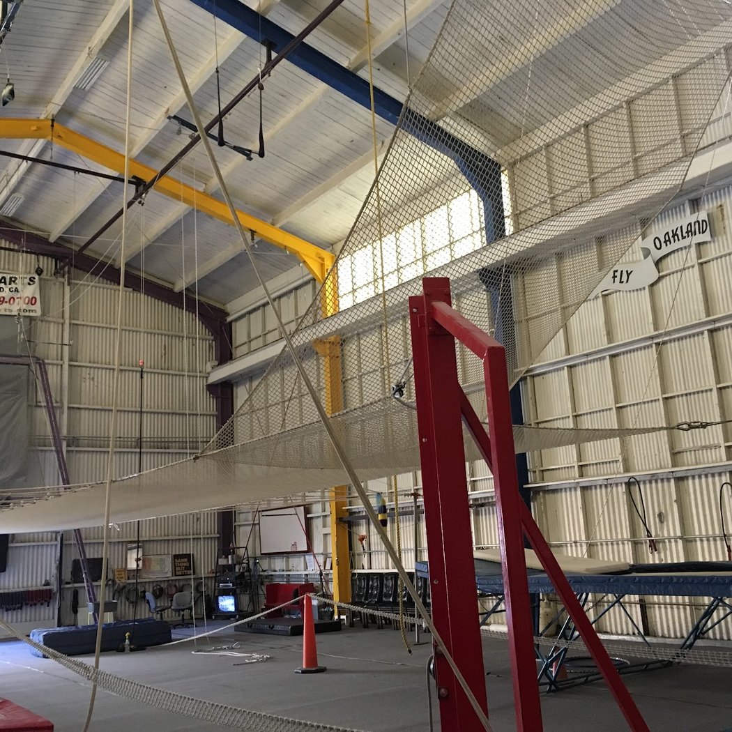 Trapeze Arts Inc 3