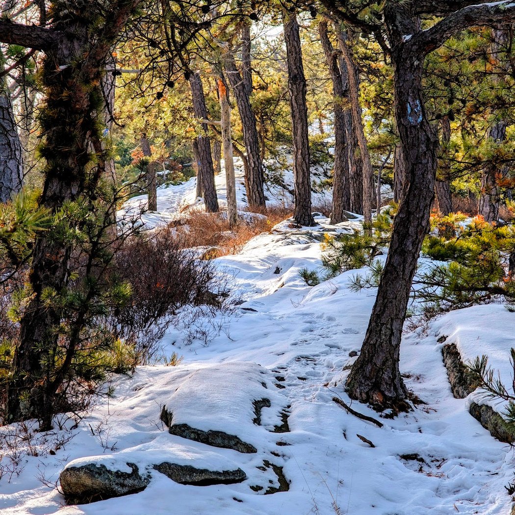 Millbrook Ridge Trail 1