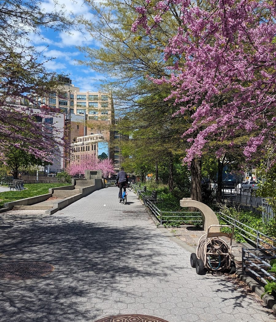 Albert Capsouto Park 1
