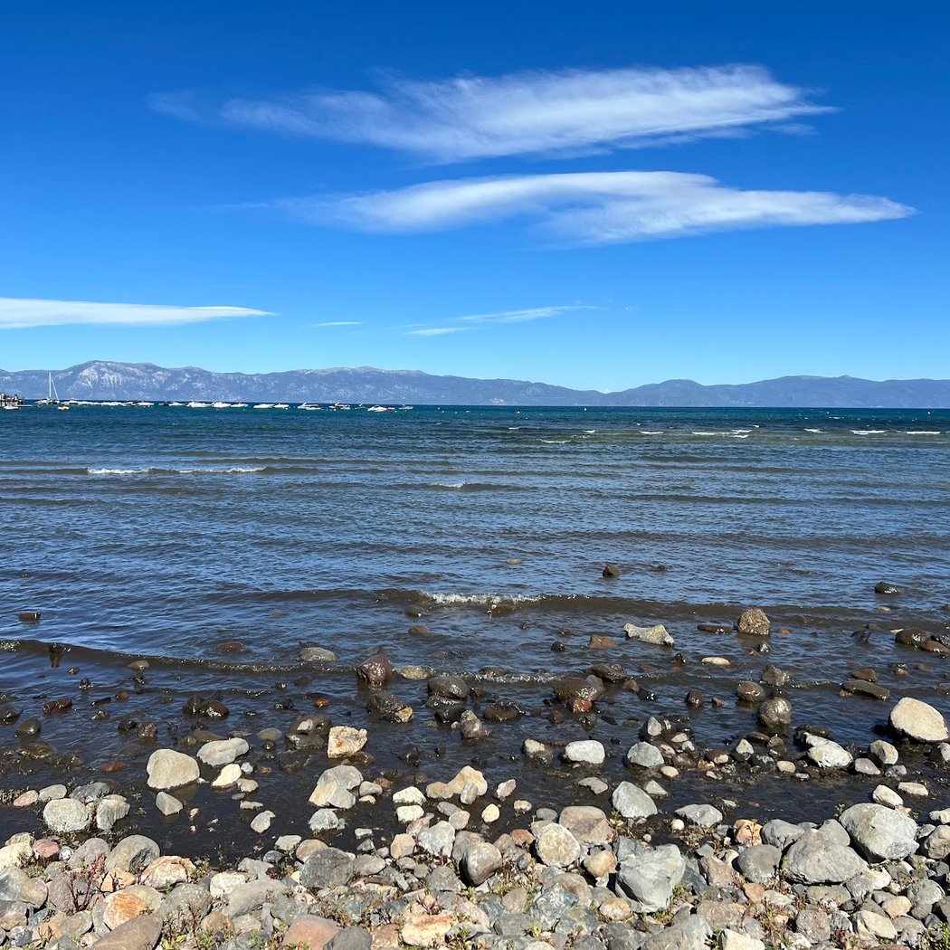 Commons Beach 5