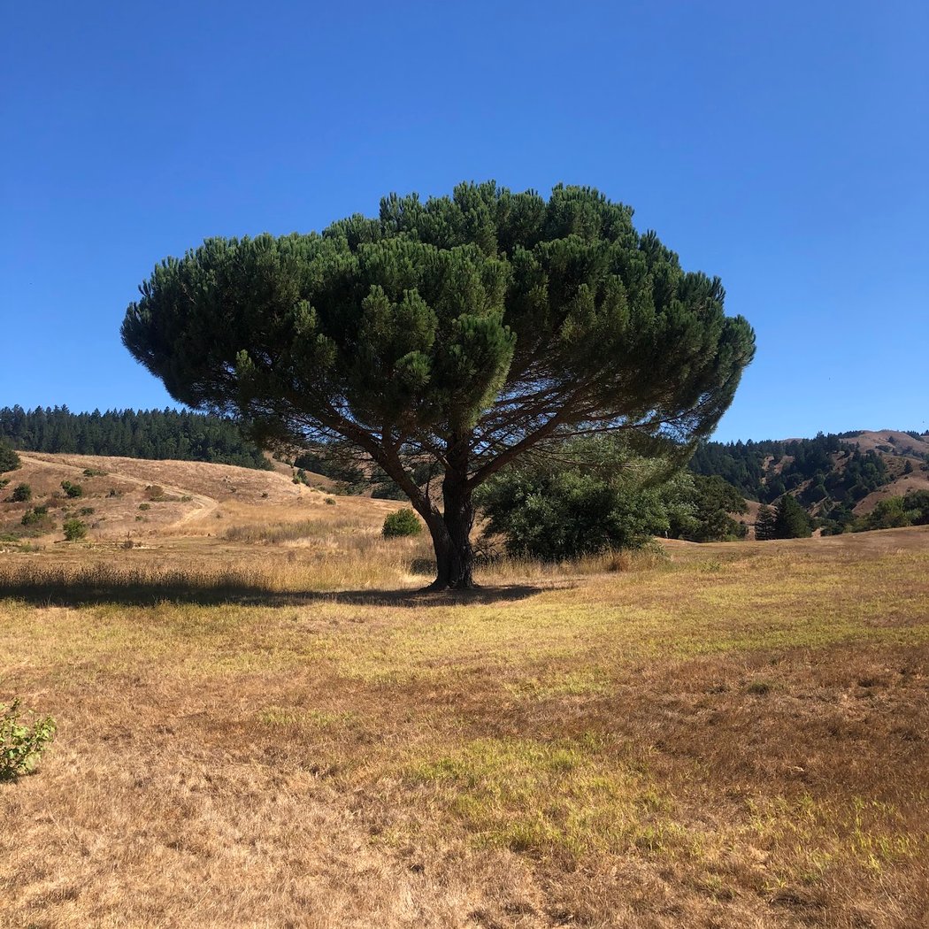 San Geronimo Golf Course: Scorecard 1