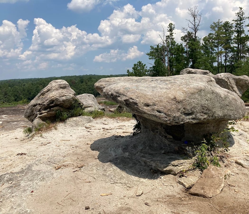 Davidson-Arabia Mountain Nature Preserve 4