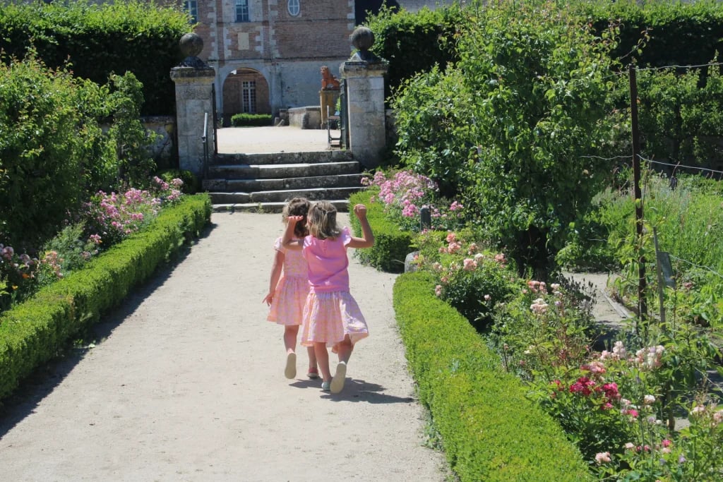 Château de la Bussiere 2