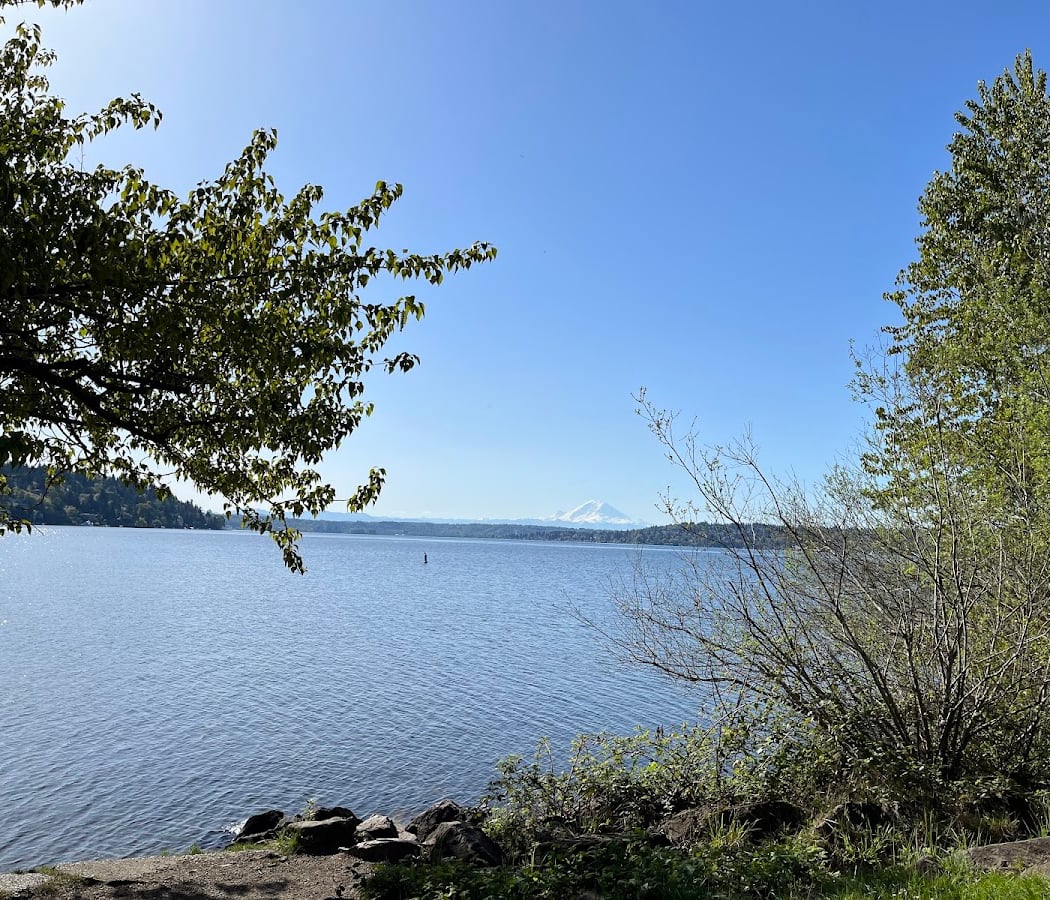 Restoration work party at Martha Washington Park 3