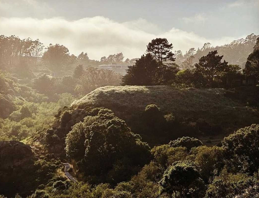 Lake Merced 1