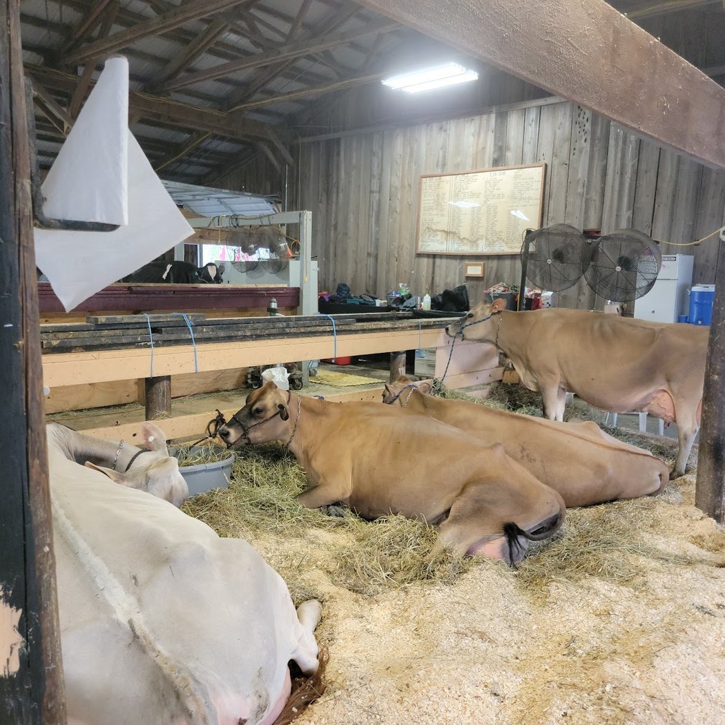 2026 Lewis County Fair 2