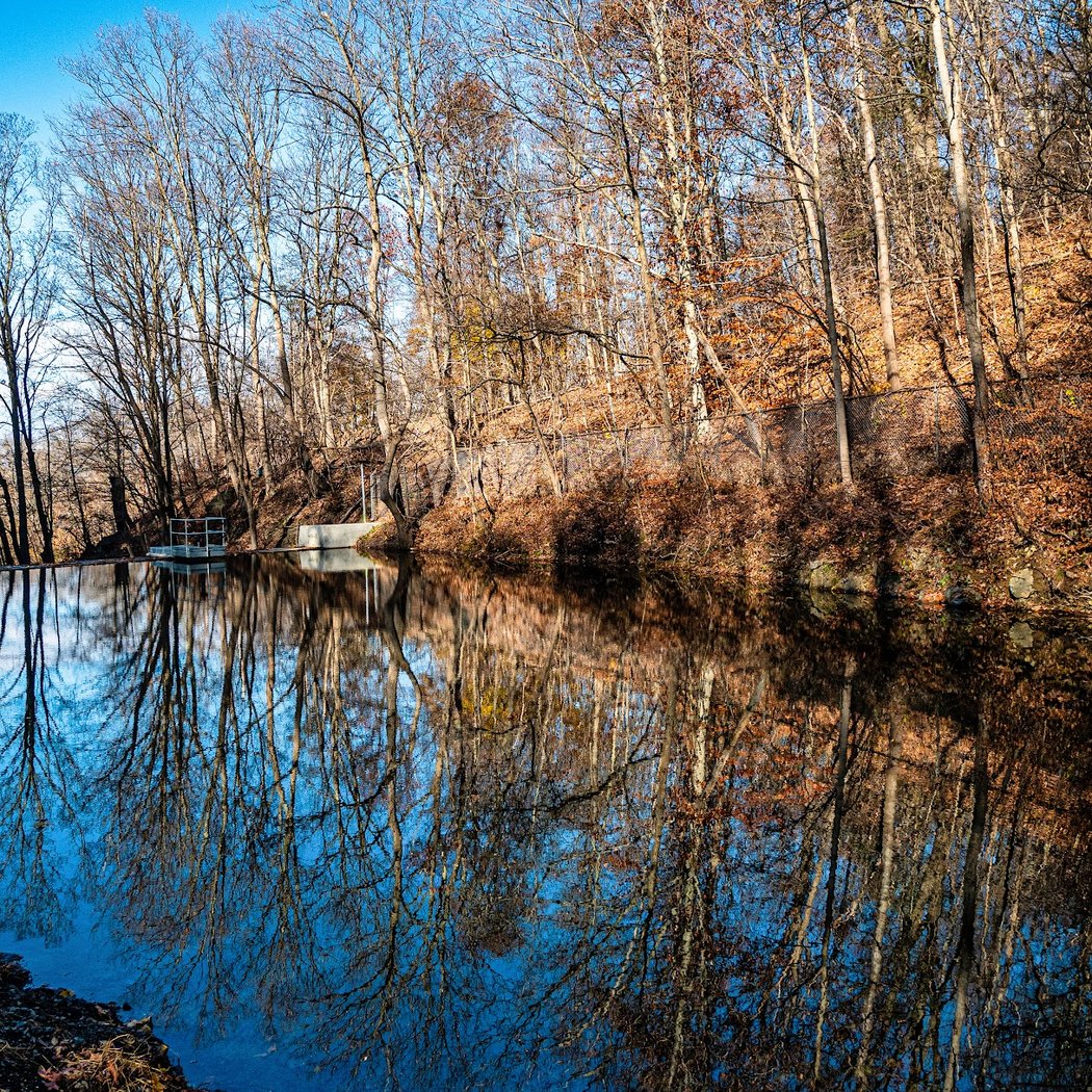 Fishkill Ridge Trail 1