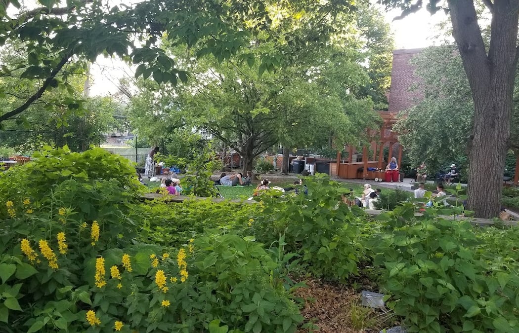 Somerville Community Growing Center 1