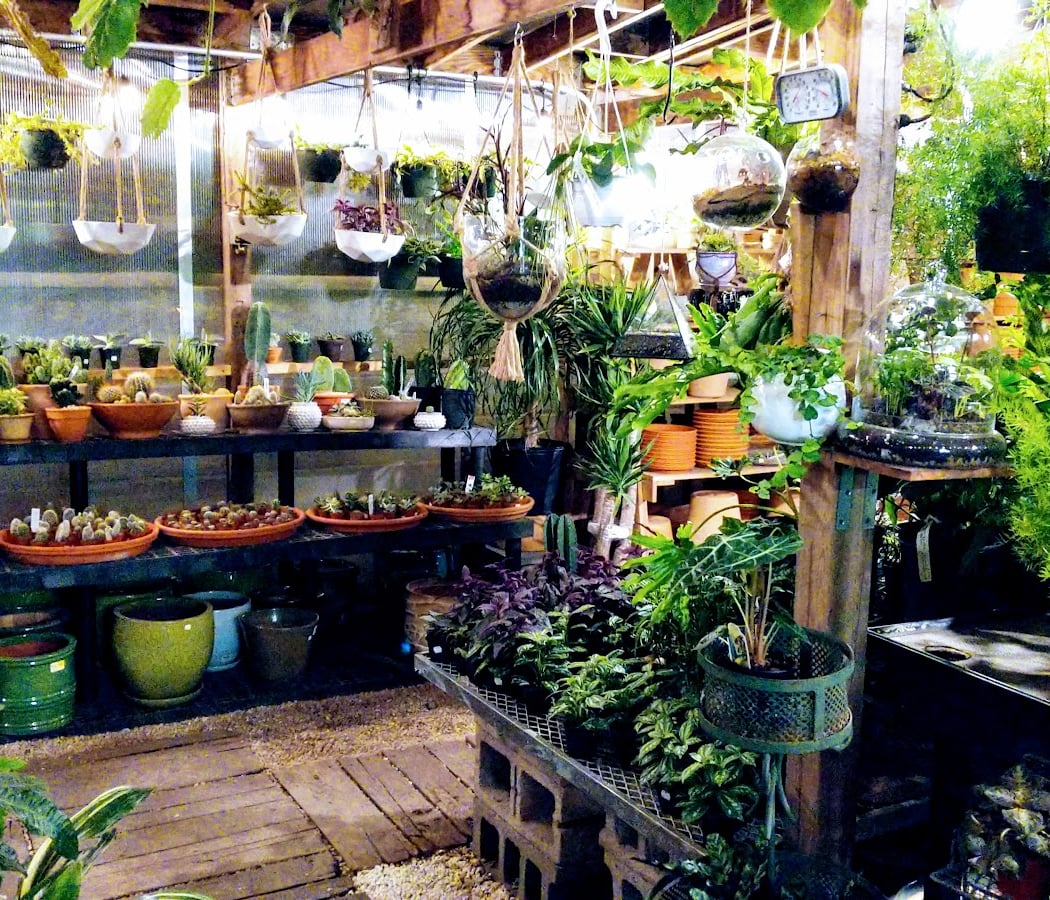 Crest Hardware & Urban Garden Center 1