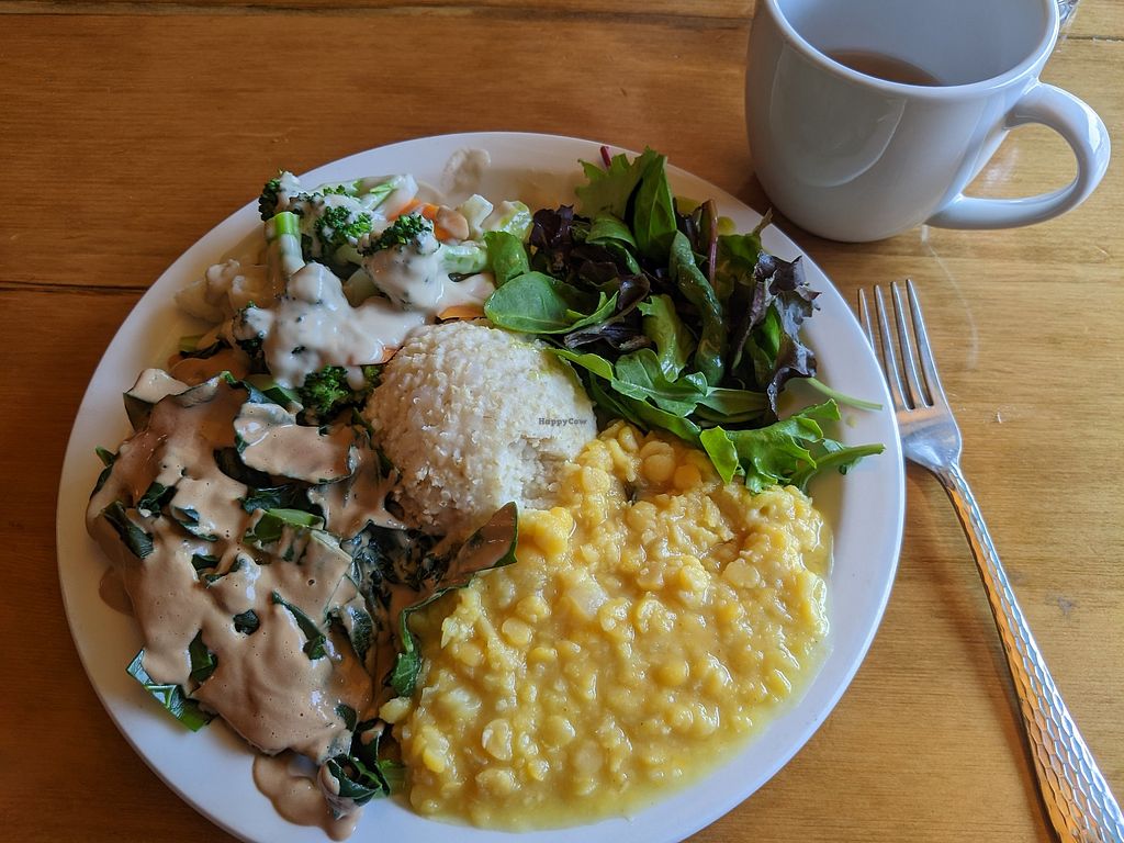 Peace Natural Vegan Food 3