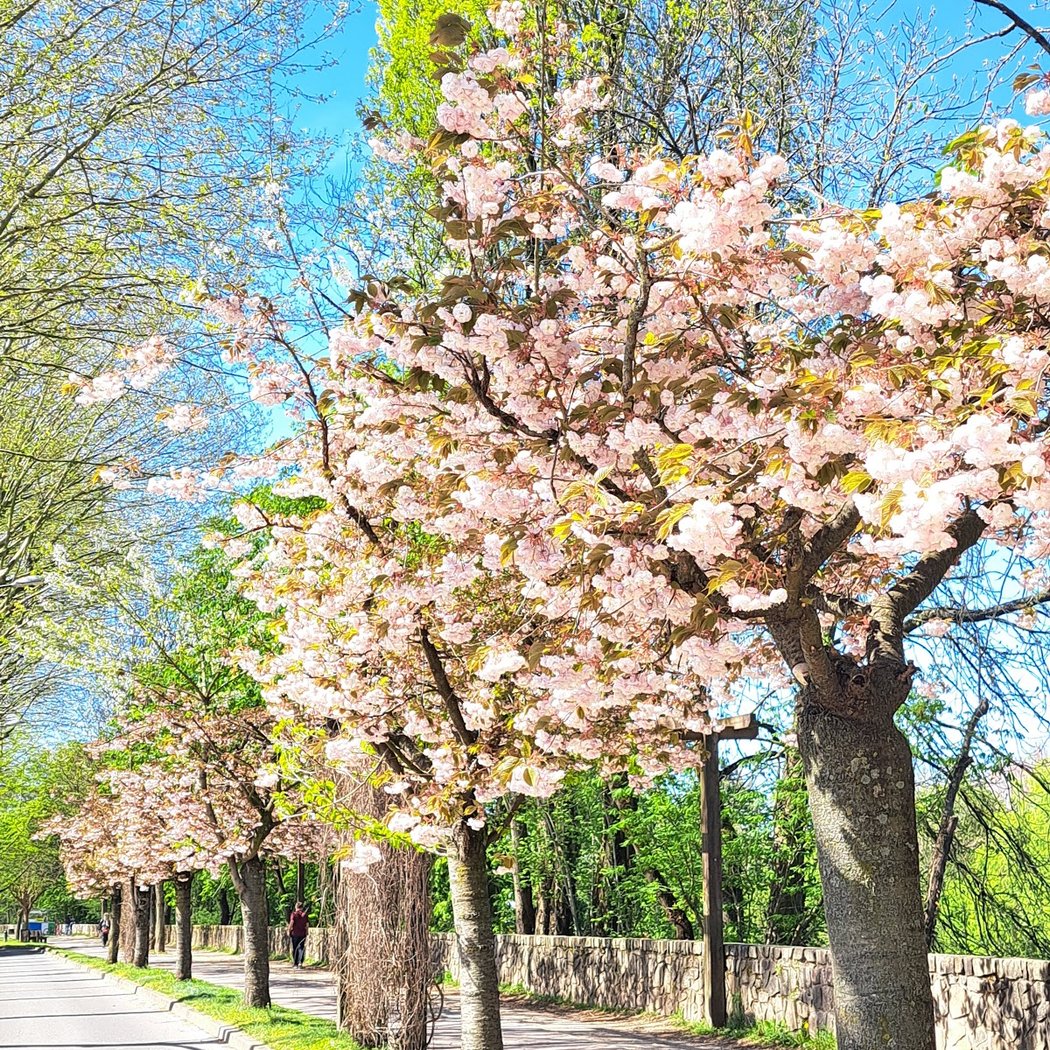 BDM Quai du Petit Parc 3