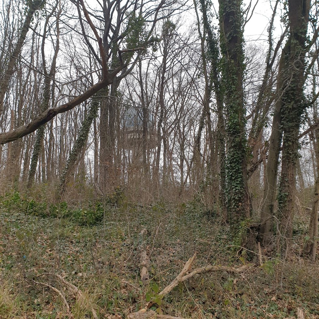 Coubron 3