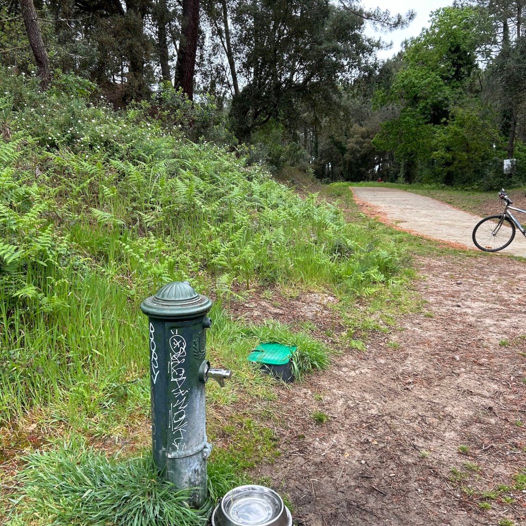 Voie verte de la Nive 3