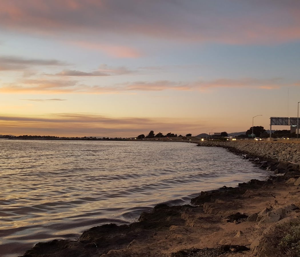 Shorebird Park Emeryville 2