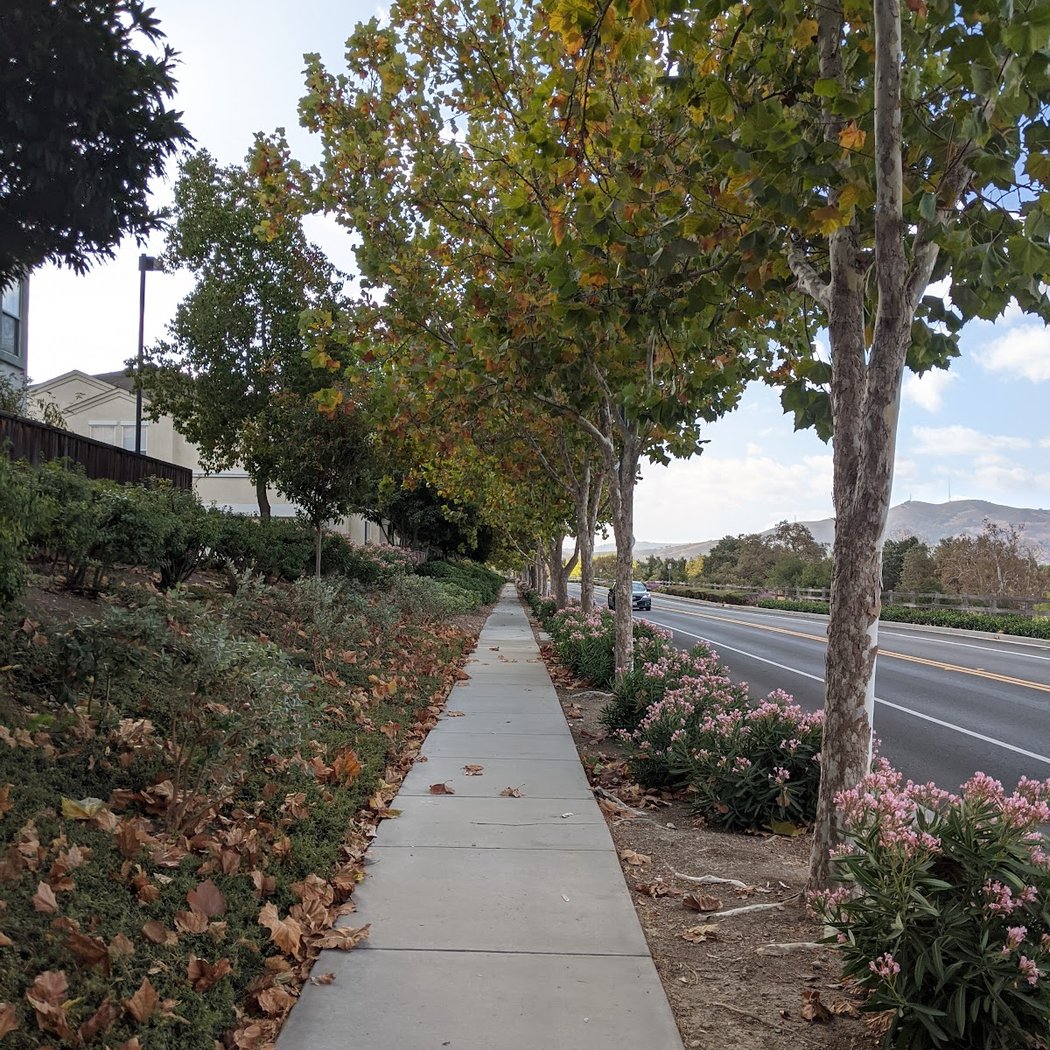 Basking Ridge Ave 1