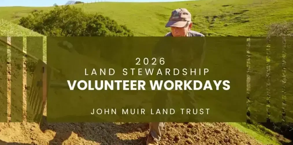 Pacheco Marsh — Volunteer Day 1